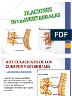Articulaciones Intervertebrales