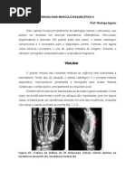 MÚSCULO ESQUELÉTICO 2