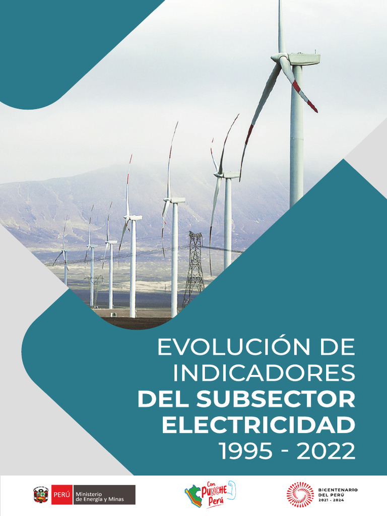 Evoluciòn de Indicadores Del Subsector Electricidad 1995-2022 | PDF