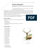 List of Mantis Genera and Species