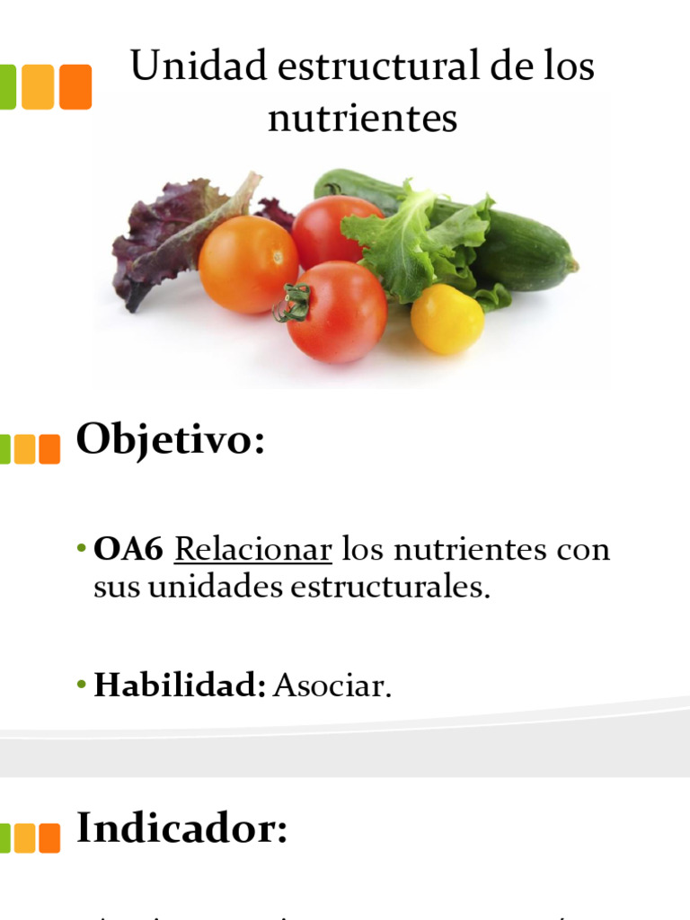 Estructura de Nutrientes y Macronutrientes | PDF | Nutrientes | Metabolismo