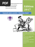 Codes et Cryptages Scouts | PDF | Cryptographie | Communication sécurisée