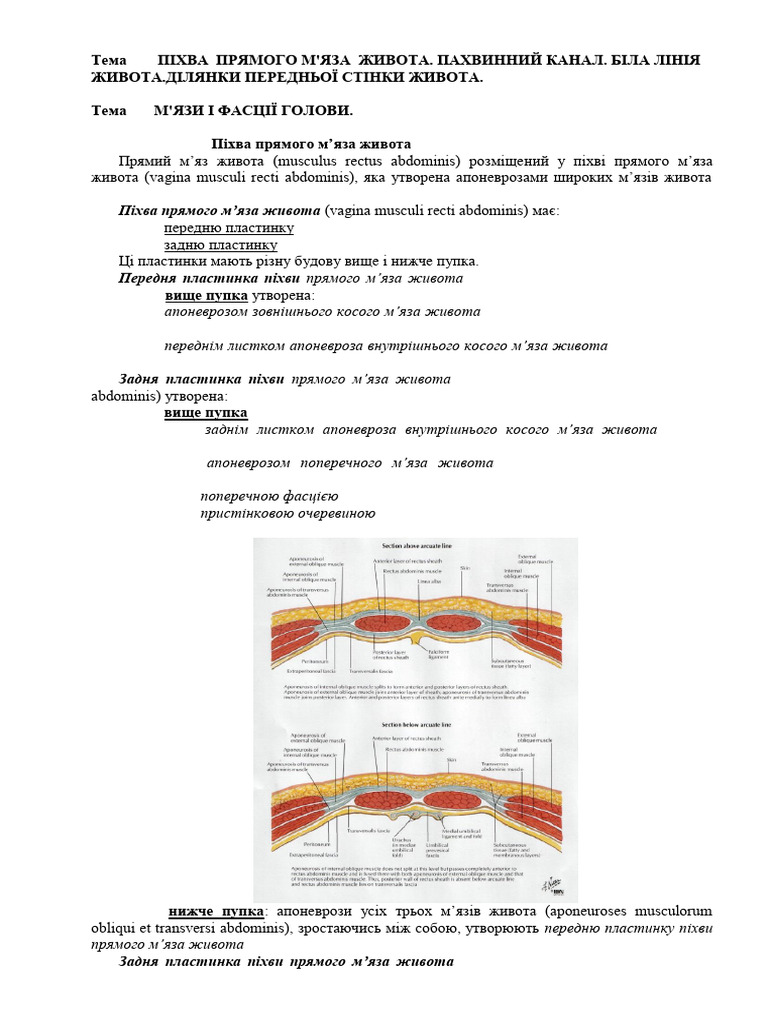 26 | PDF