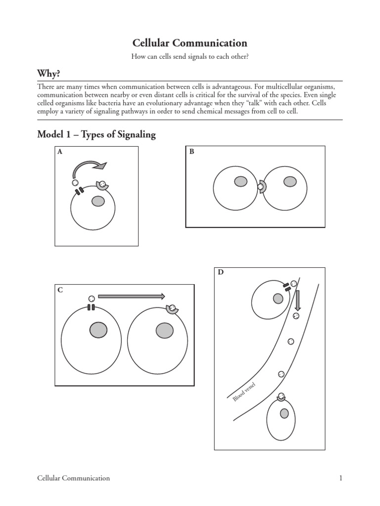 3 - Cellular Communication | PDF | Cell Signaling | Cell Biology