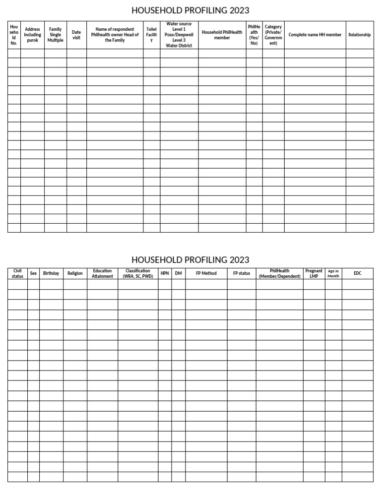 Barangay Household Profiling 2023 | PDF