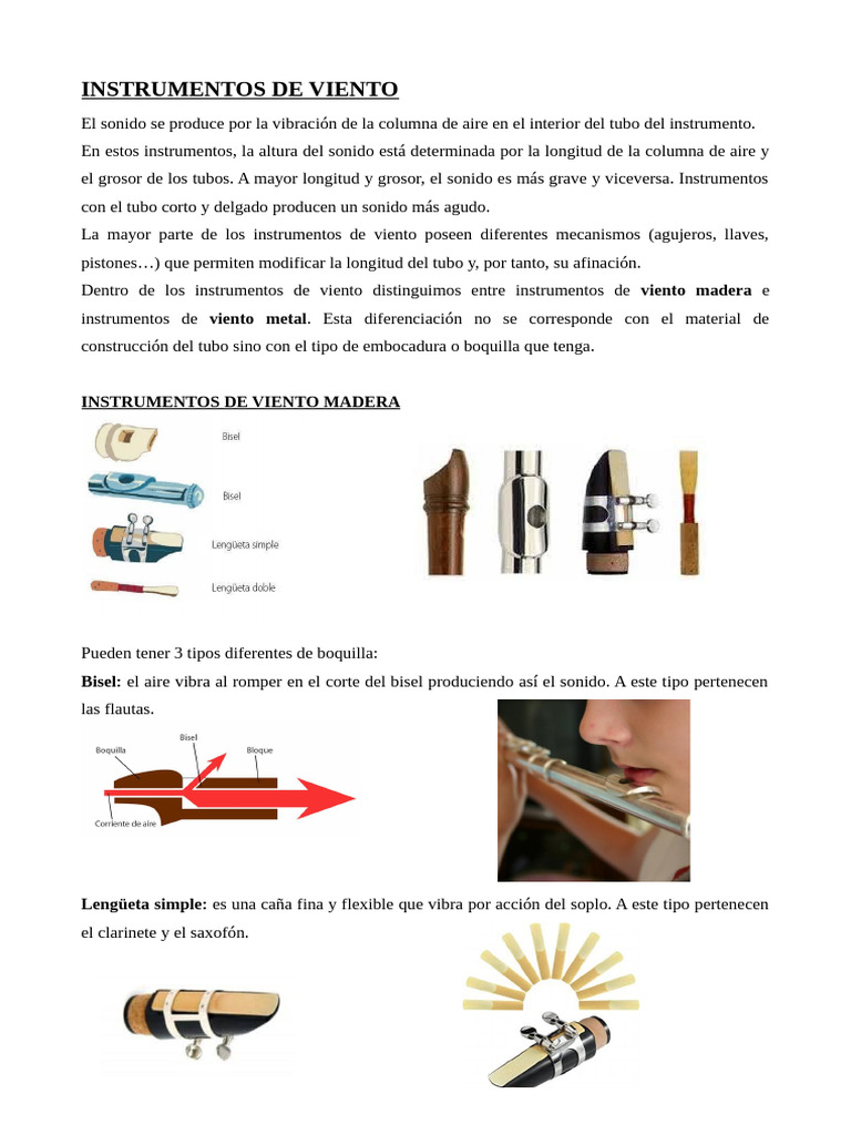 Tipos de Instrumentos de Viento Madera y Metal | PDF | Instrumentos de ...