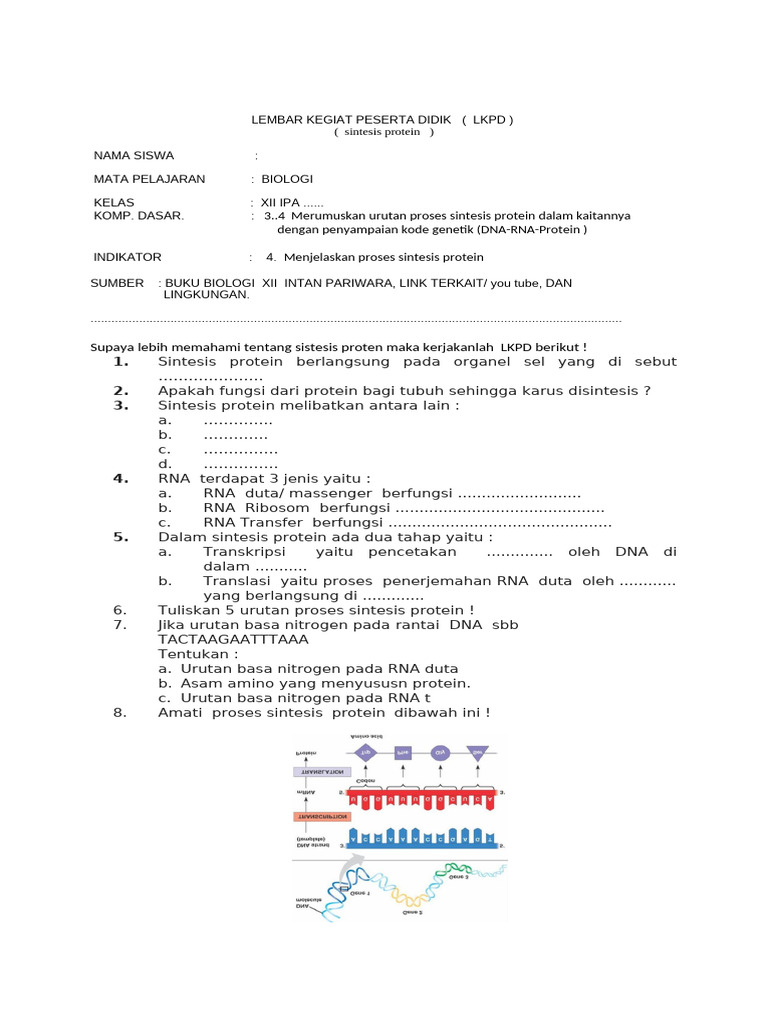 Proses Sintesis Protein dalam Biologi | PDF | Sains & Matematika