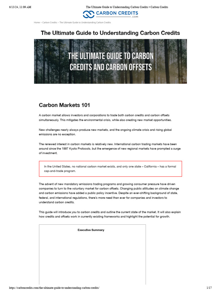 Understanding Carbon Credits and Markets | PDF | Emissions Trading ...