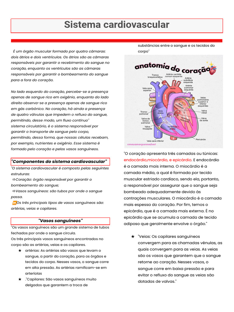 Estrutura e Função do Sistema Cardiovascular | PDF | Sistema ...