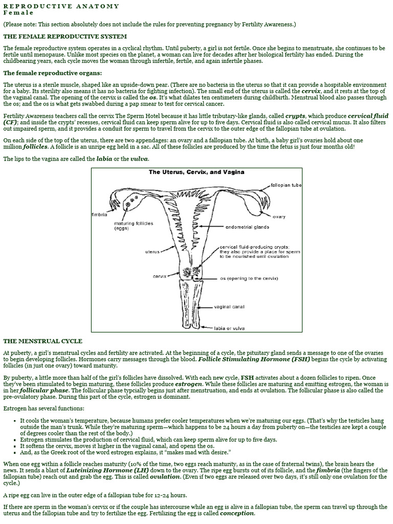 Female Reproductive Anatomy - The Garden of Fertility | PDF | Menstrual ...