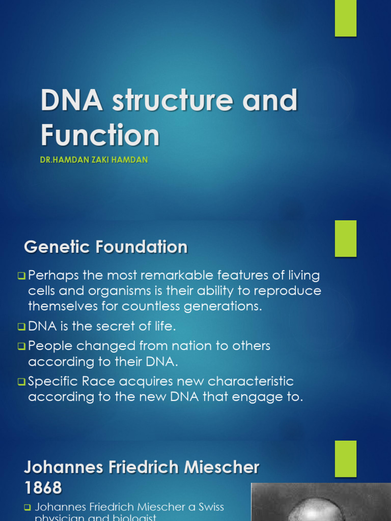 Image Result For Structure And Function Of Dna Biology Libretexts
