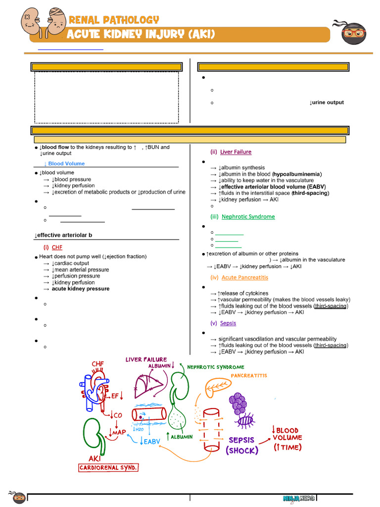 Understanding Acute Kidney Injury (AKI) | PDF | Kidney | Urinary System