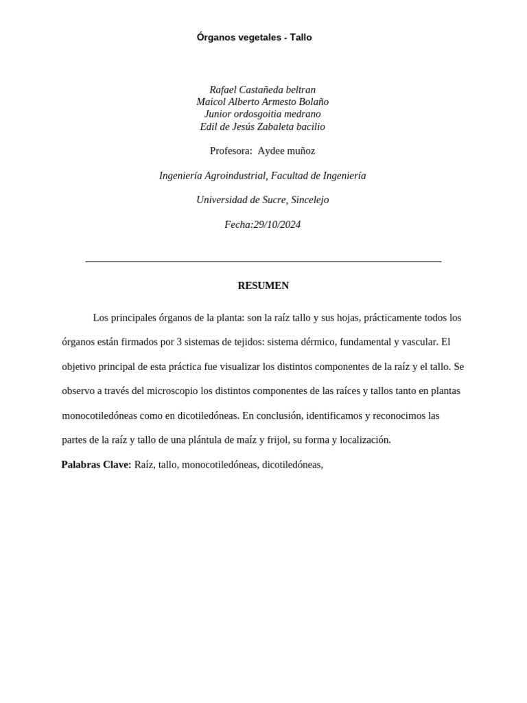 Estructura de Raíz y Tallo en Plantas | PDF | Tallo de la planta | Raíz