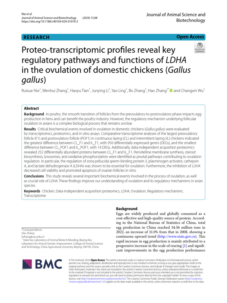 Proteo-Transcriptomic Profiles Reveal Key Regulatory Pathways and ...