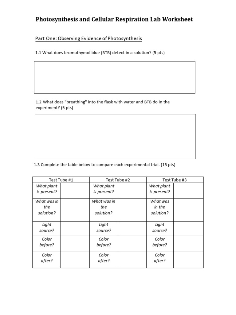 Photosynthesis and Respiration Lab Guide | PDF | Chloroplast | Chemistry