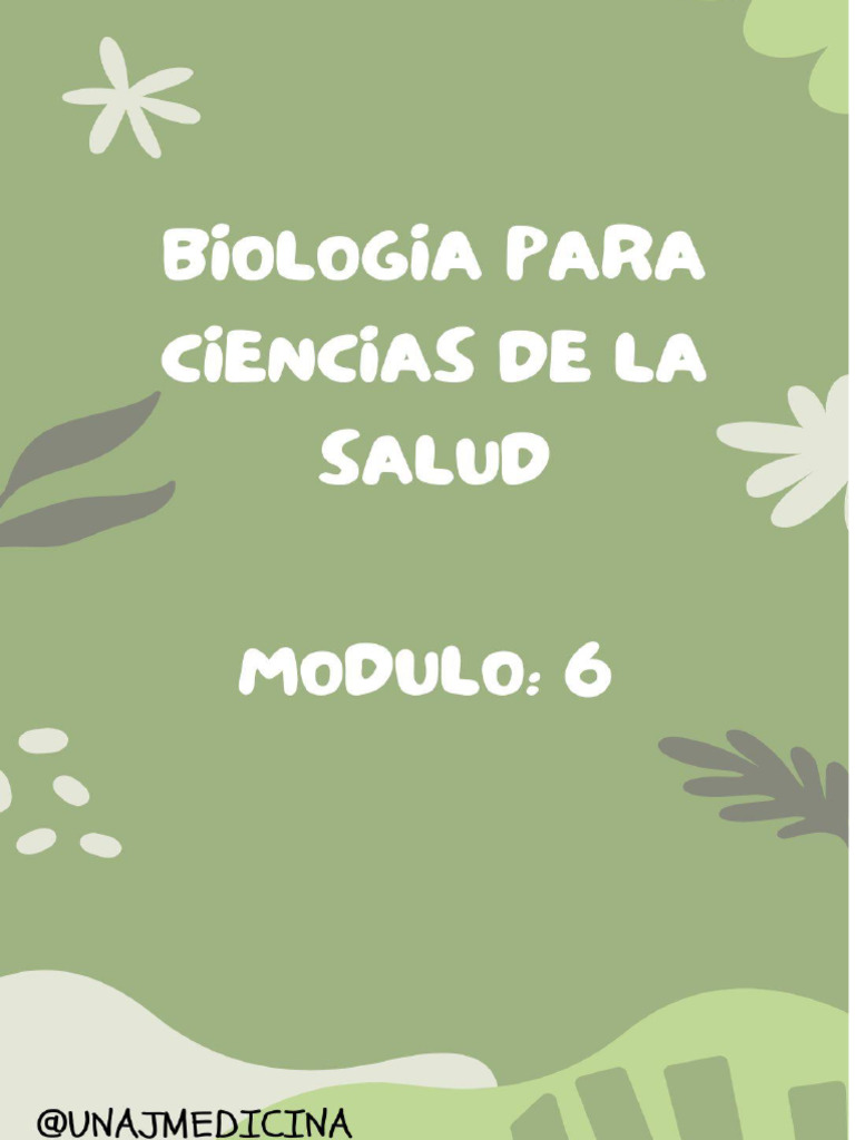 Modulo 6 Bio | PDF | Sistema digestivo humano | Estómago