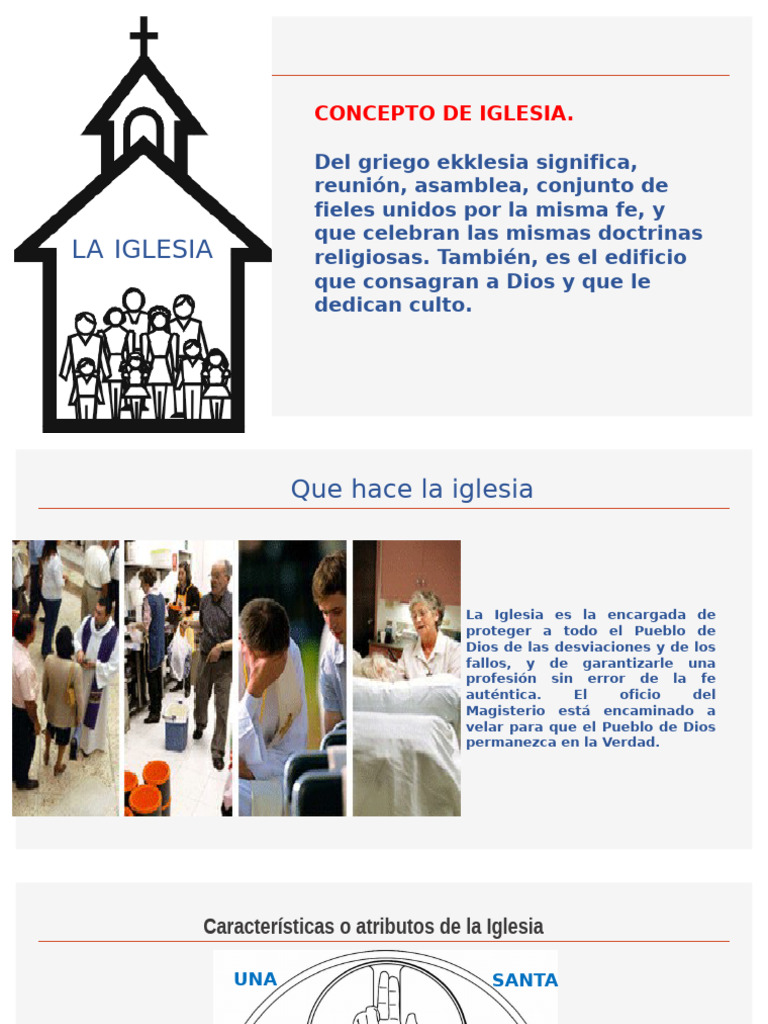 Concepto y Estructura de la Iglesia | PDF | Iglesia Católica | Papa