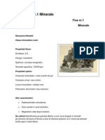 Fise Minerale 2012 PDF