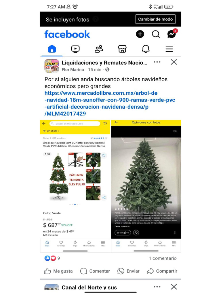 Arbol Pdf