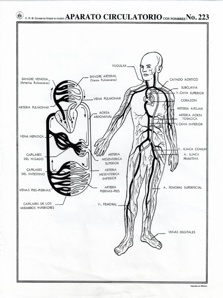LE01 | PDF