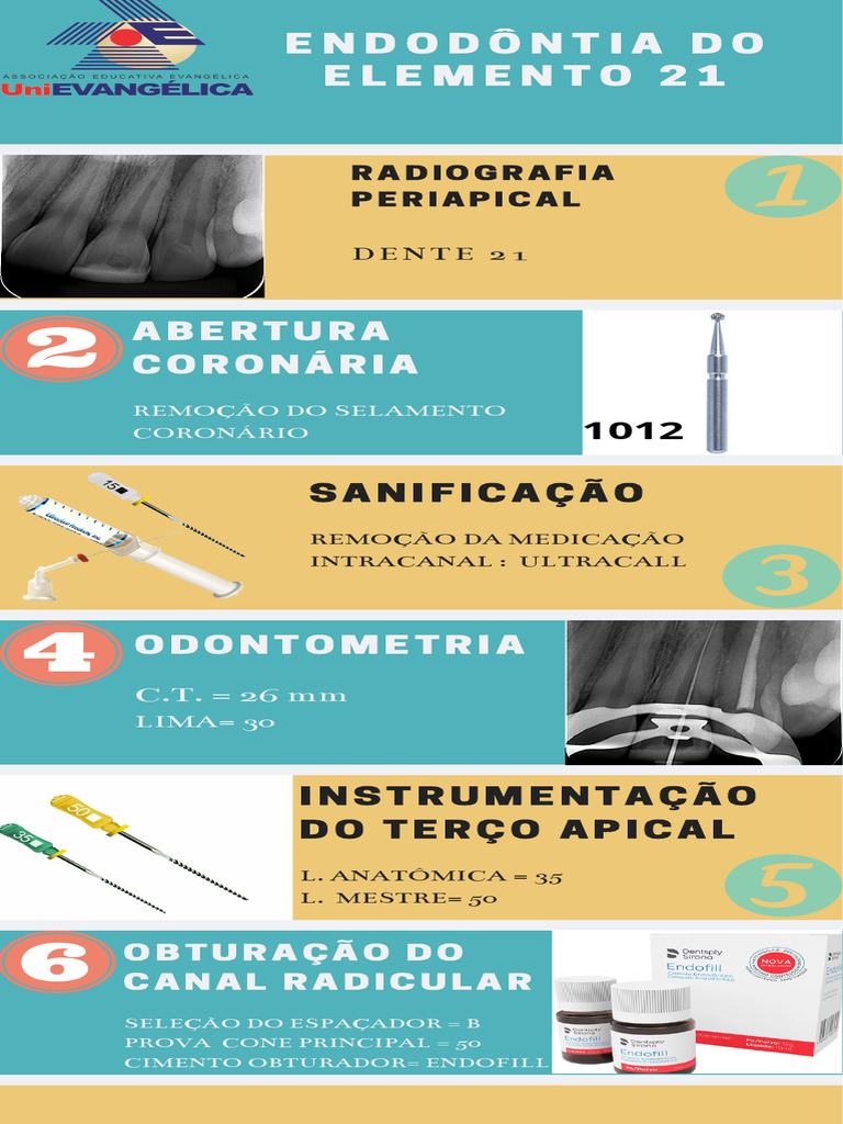 Infográfico Ultimo 2 | PDF