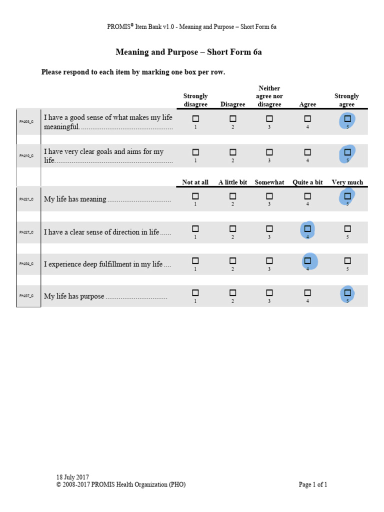 PROMIS Meaning and Purpose Short Form | PDF