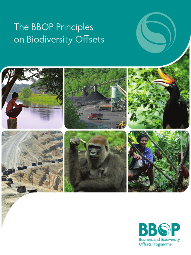 BBOP Principles for Biodiversity Offsets | PDF | Natural Environment