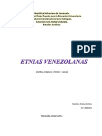 Diferencias importantes de los grupos étnicos venezolanos - Greicy Arrieta