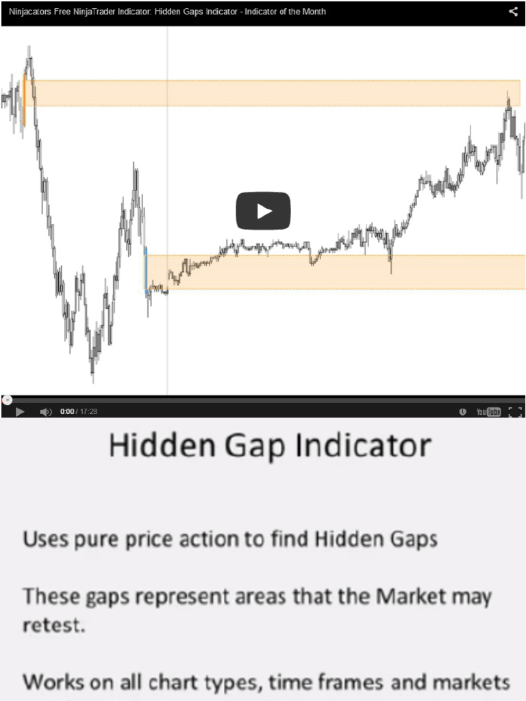 Ncat - Hidden Gaps Indicator (Info - SLIDES) | PDF