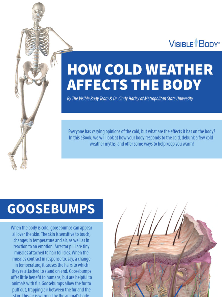 VisibleBody Effects of Cold Weather | PDF | Hypothermia | Medical ...