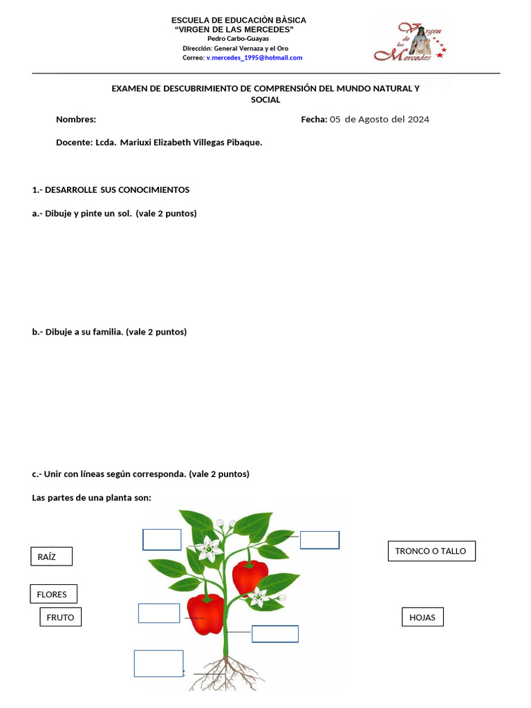 Examen de Comprensión Natural y Social | PDF