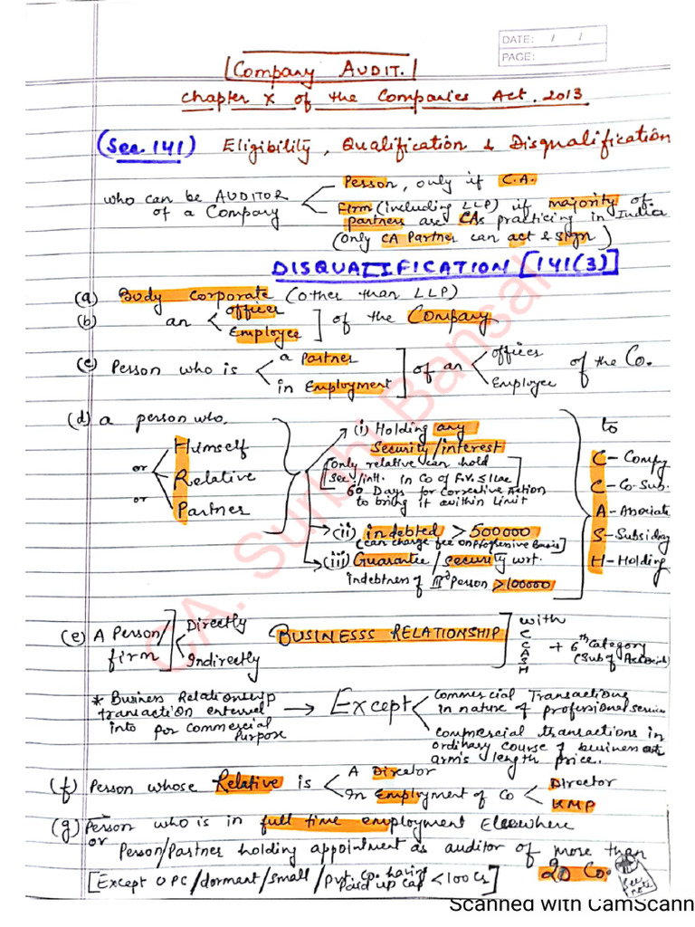 Company Audit Notes | PDF