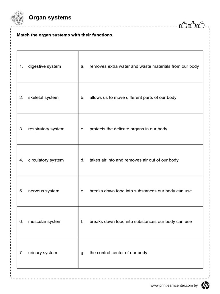 Science Human Body Organ Systems | PDF | Wellness