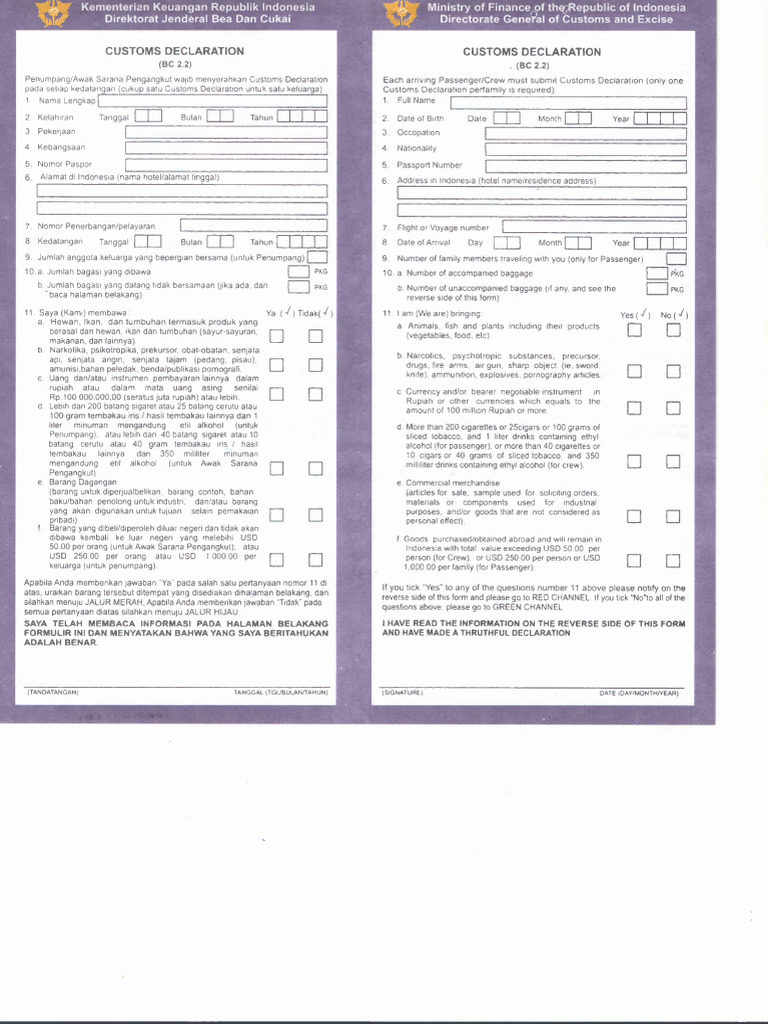 Custom Declaration | PDF