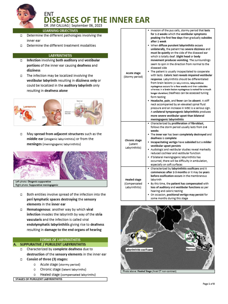 Ossification-Induced Deafness in Inner Ear | PDF | Vertigo | Hearing Loss