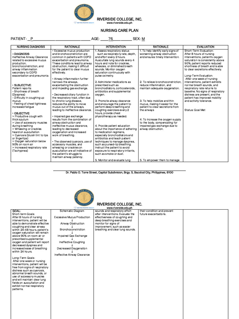 Nursing Care Plan for COPD Patient | PDF | Respiratory Tract | Chronic ...