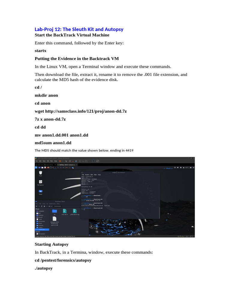 Lab12 FRS301 HoVietAn | PDF | Button (Computing) | Computer File