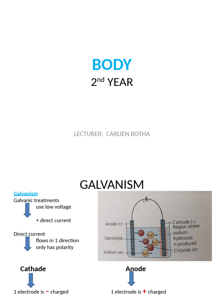 Carlien - Presentation - Body 2nd Year - PPTM | PDF | Cathode | Electrode