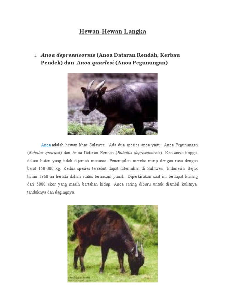 Hewan Hewan Langka Nadia