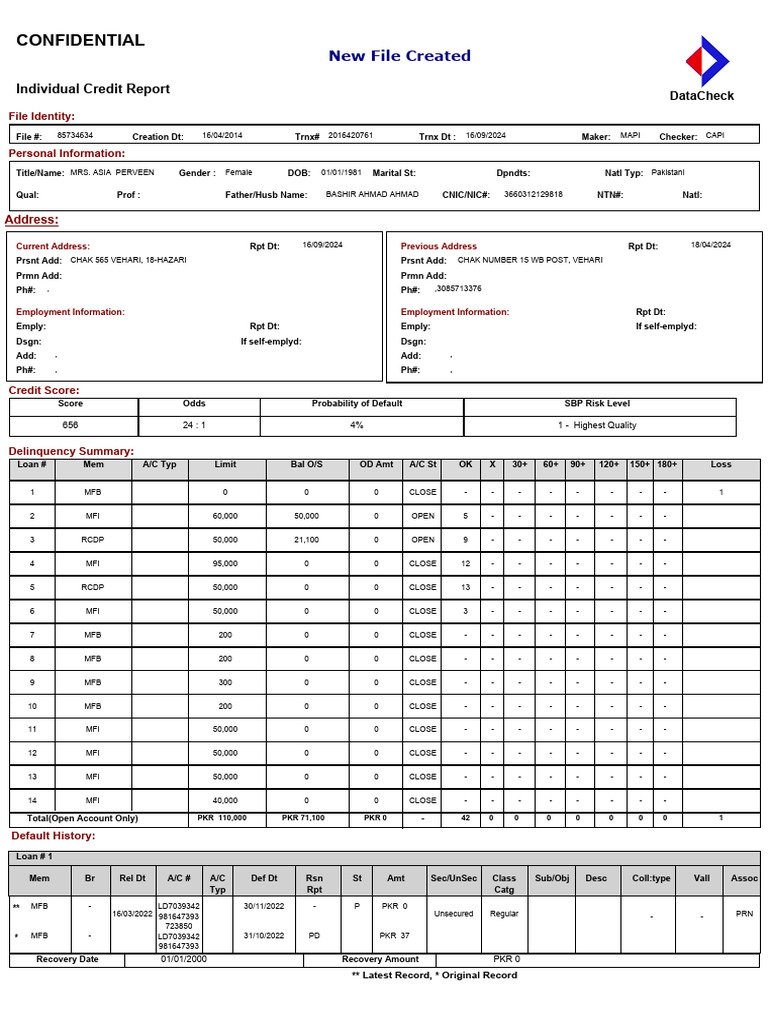 Credit Report | PDF | Loans | Debt