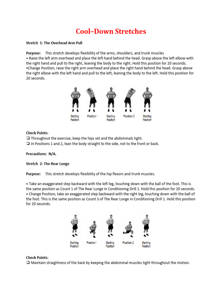 Cool Down Stretches | PDF | Hand | Anatomical Terms Of Motion