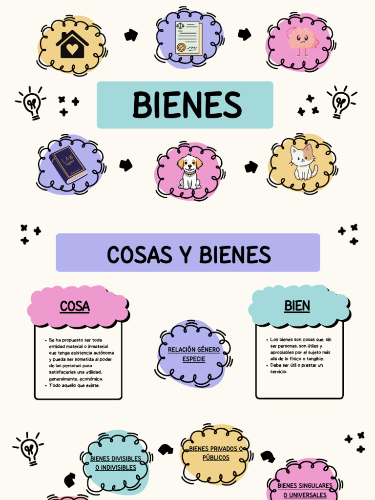 Bienes 2024 (MS) | PDF | Propiedad | Bienes