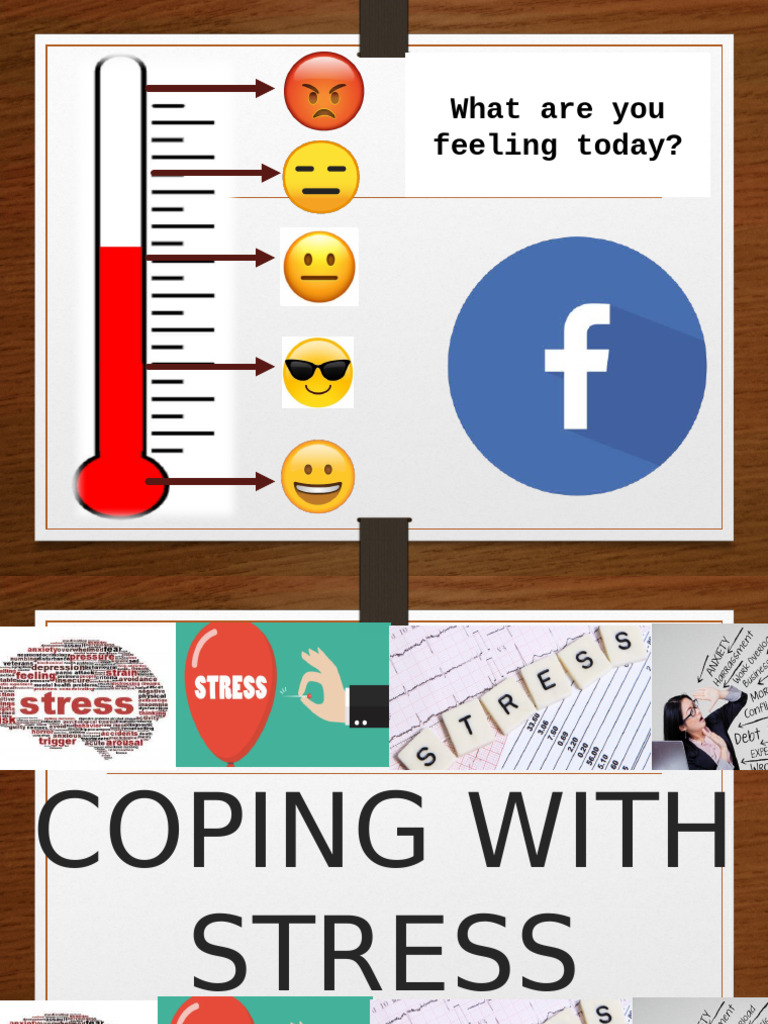 5 Coping With Stress SHS | PDF | Stress (Biology) | Mental Health