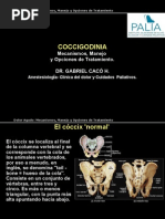 Carta de Pesame Formal