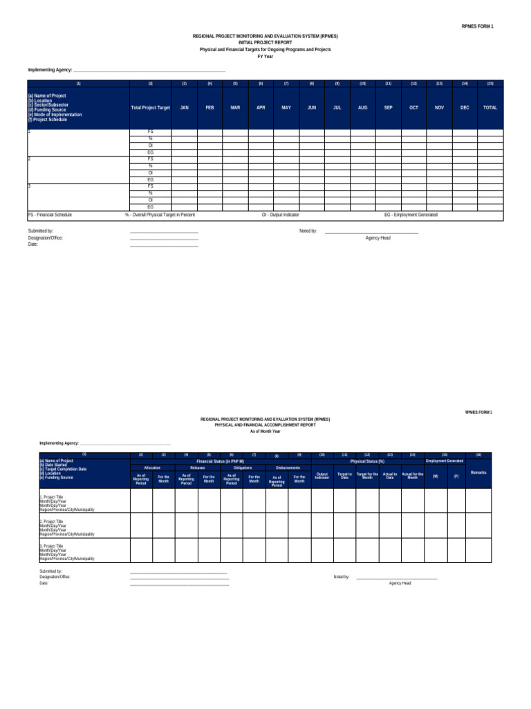 RPMES Form 1: Initial Project Report | PDF | Monitoring And Evaluation ...