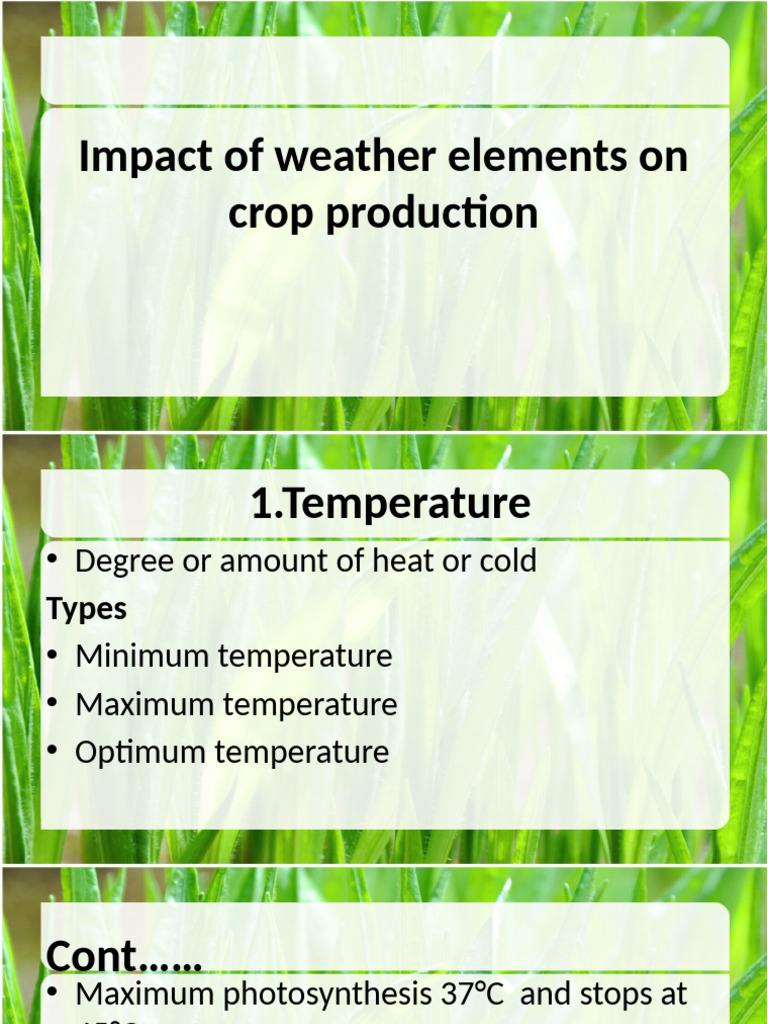 Weather Effects on Crop Production | PDF | Rain | Humidity