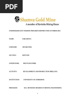 Modified Avoca Mining Method Overview | PDF | Economic Geology | Mining