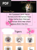 Download Siberian Tiger by elina zaliha mahizan SN7883493 doc pdf