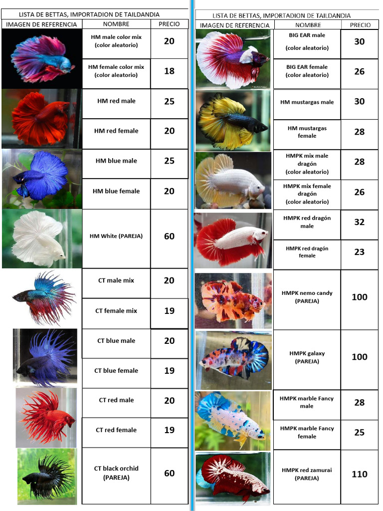 Lista de Bettas Importados de Tailandia | PDF