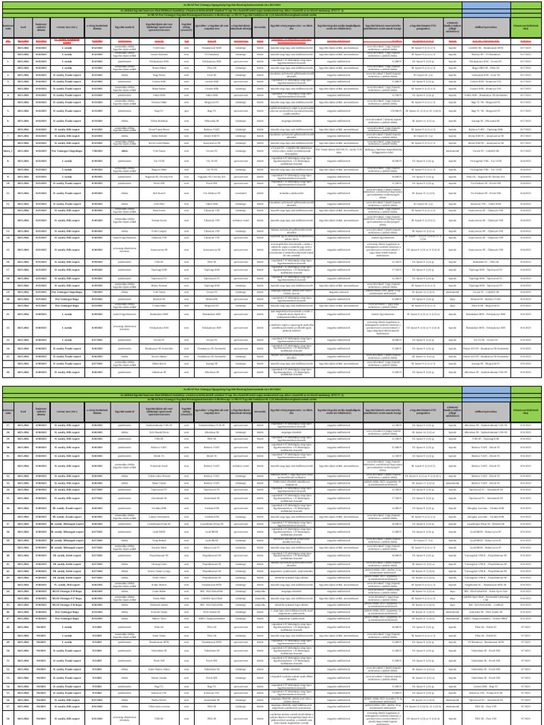 Fb-Hatarozatok-Tara MLSZ Pvmi 2023-2024 | PDF